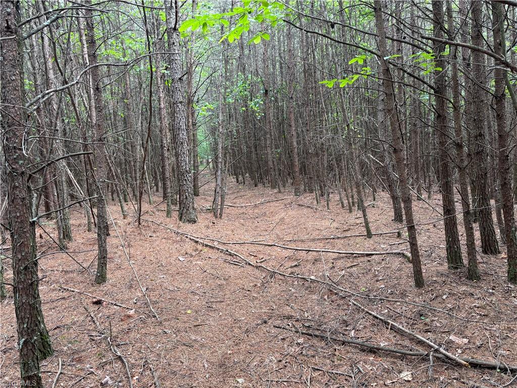 00 Caudle Road, Pinnacle, North Carolina image 15