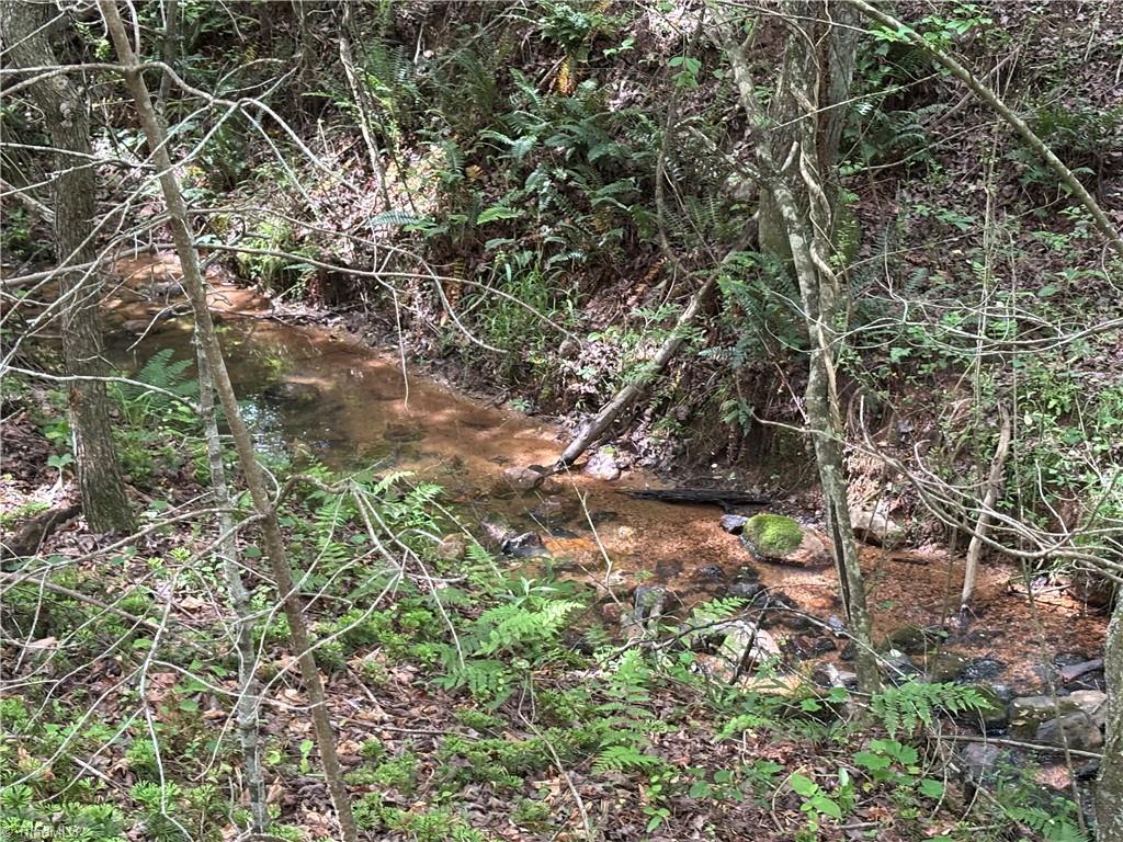 00 Caudle Road, Pinnacle, North Carolina image 29