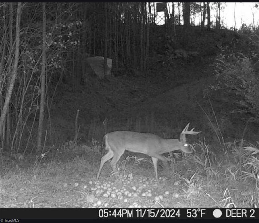 00 Caudle Road, Pinnacle, North Carolina image 48