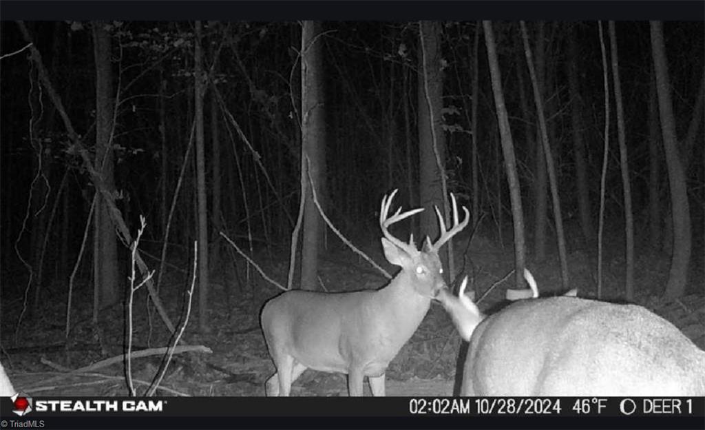 00 Caudle Road, Pinnacle, North Carolina image 45