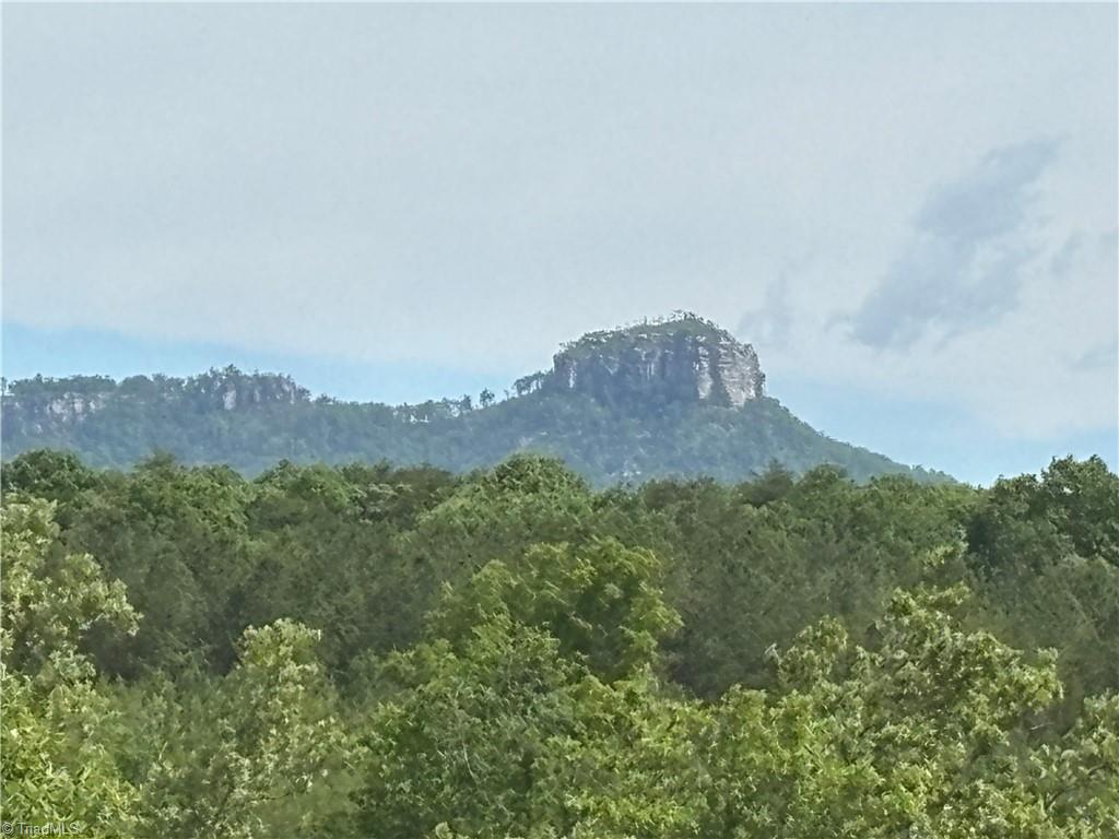 00 Caudle Road, Pinnacle, North Carolina image 1