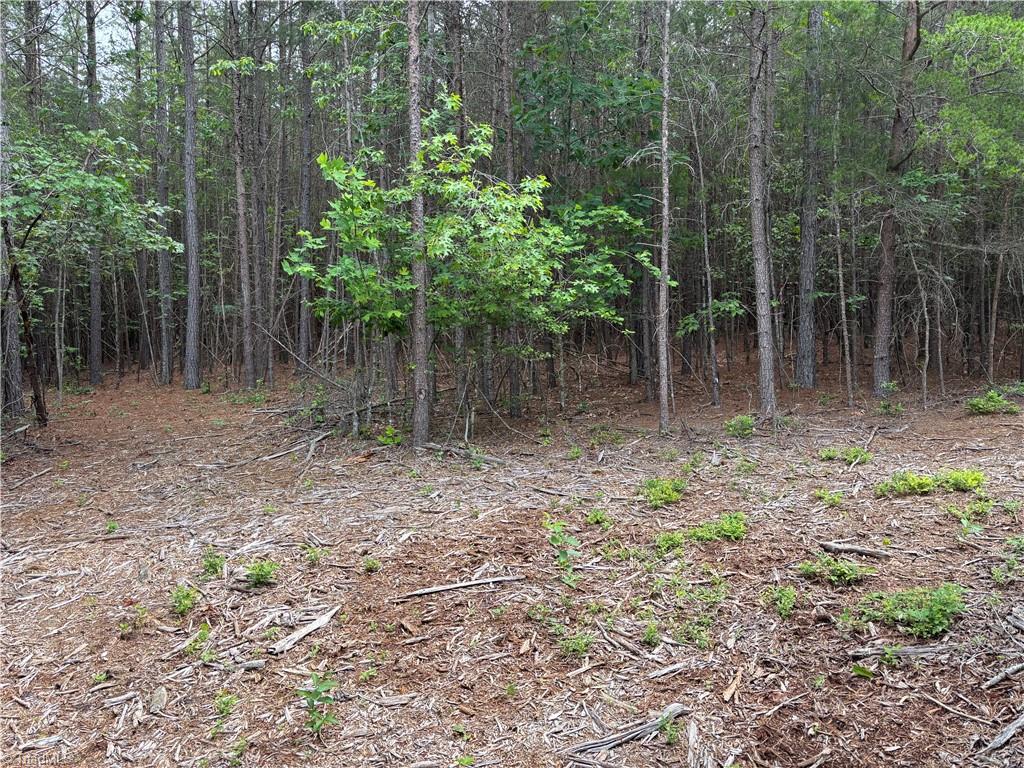00 Caudle Road, Pinnacle, North Carolina image 27