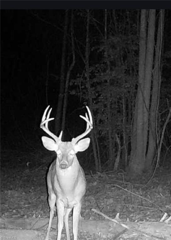 00 Caudle Road, Pinnacle, North Carolina image 46