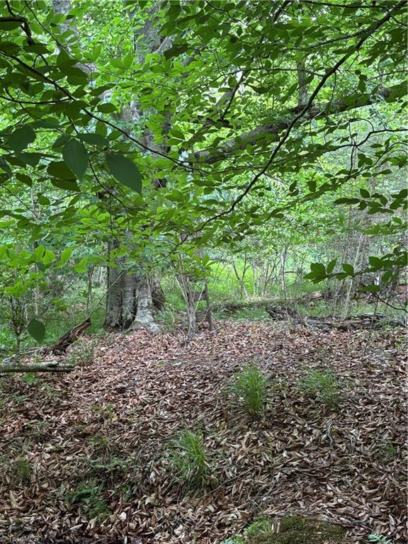 00 Caudle Road, Pinnacle, North Carolina image 34