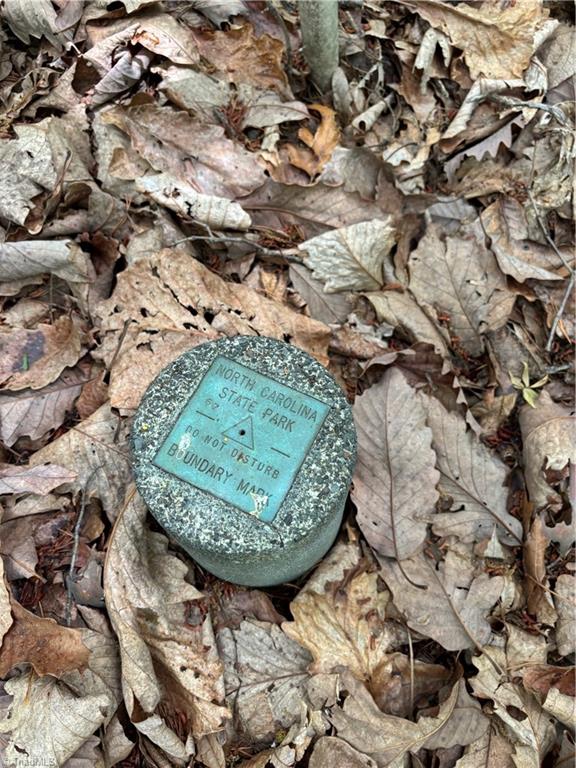 00 Caudle Road, Pinnacle, North Carolina image 18
