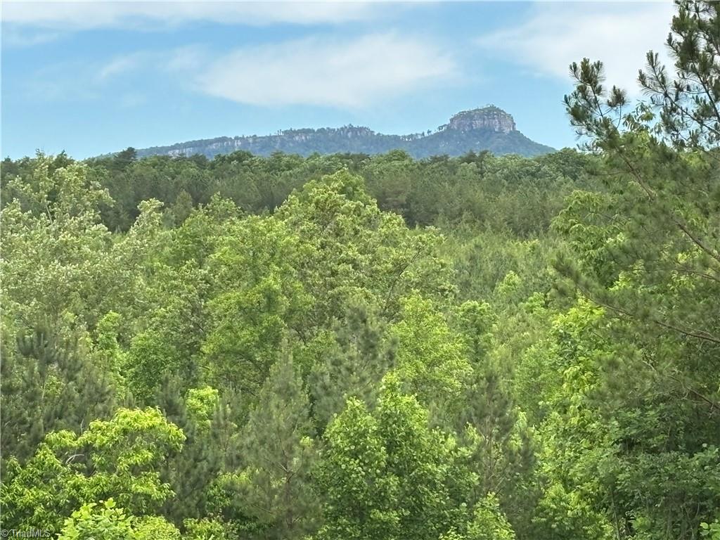 00 Caudle Road, Pinnacle, North Carolina image 2