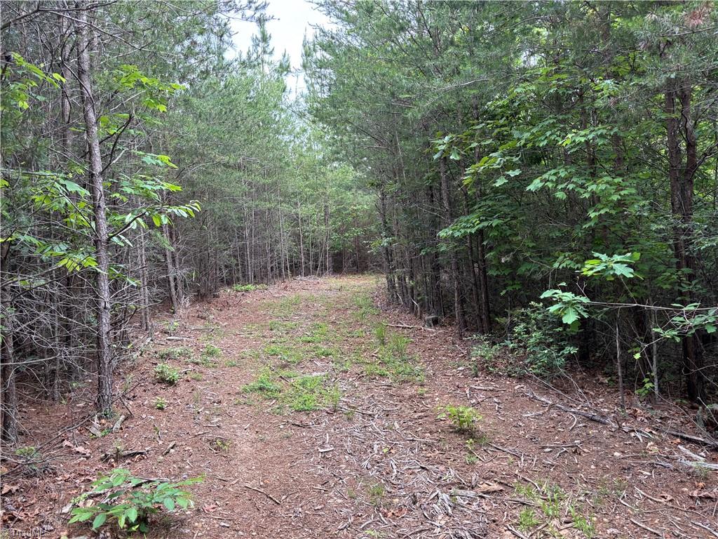 00 Caudle Road, Pinnacle, North Carolina image 12