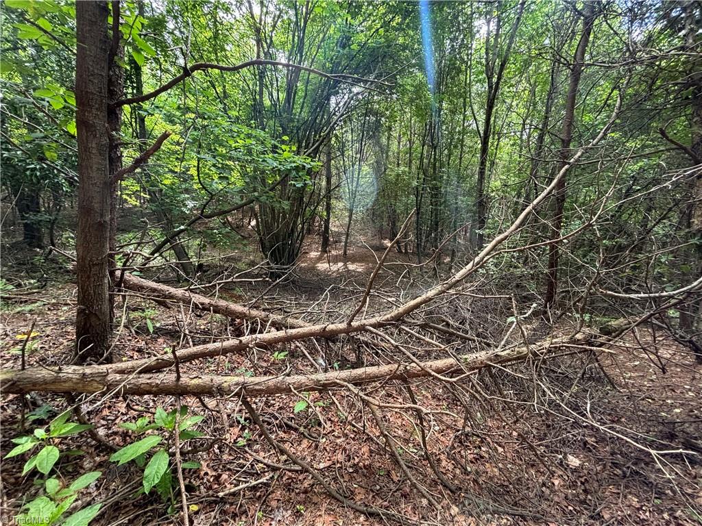 00 Caudle Road, Pinnacle, North Carolina image 24