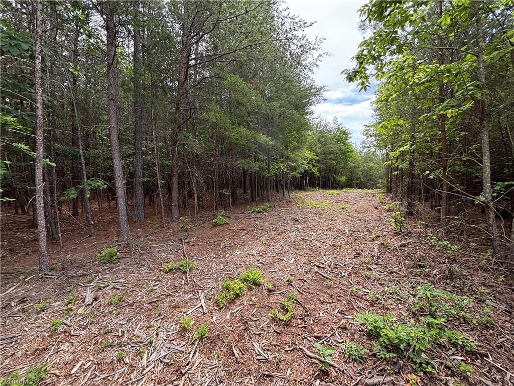 00 Caudle Road, Pinnacle, North Carolina image 26