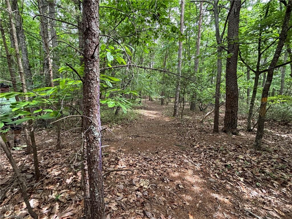 00 Caudle Road, Pinnacle, North Carolina image 20