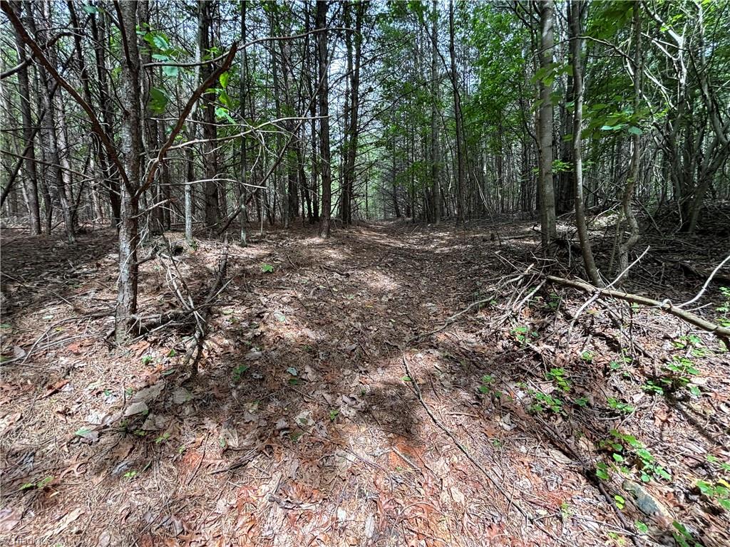 00 Caudle Road, Pinnacle, North Carolina image 23
