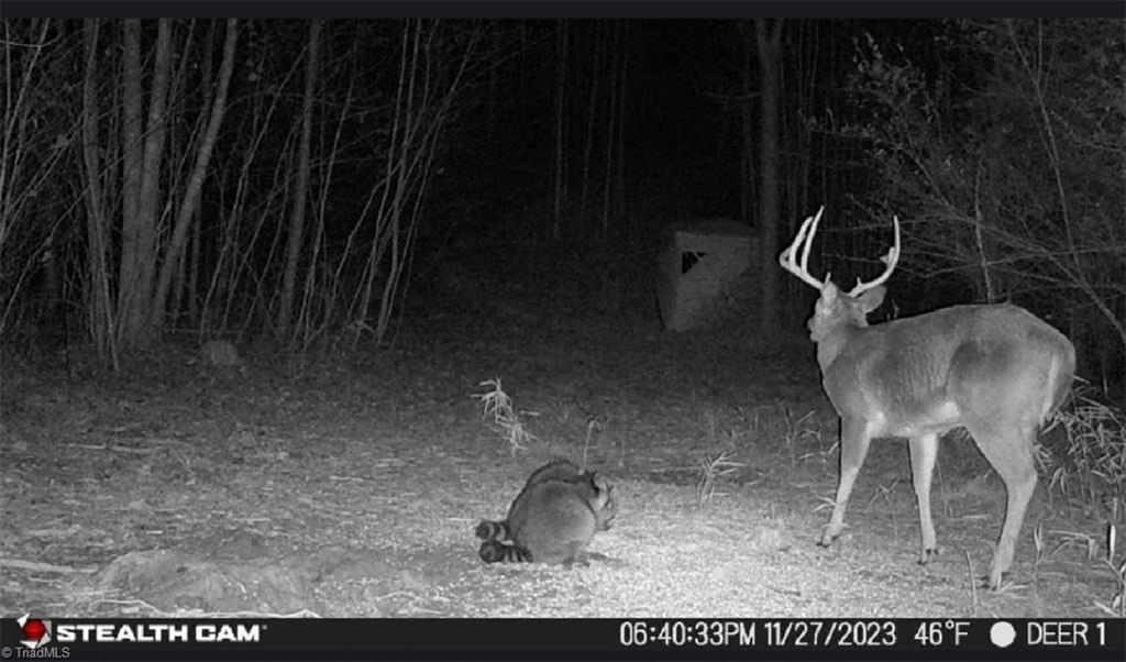 00 Caudle Road, Pinnacle, North Carolina image 44