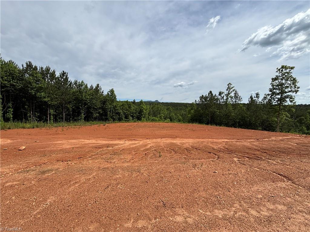 00 Caudle Road, Pinnacle, North Carolina image 8