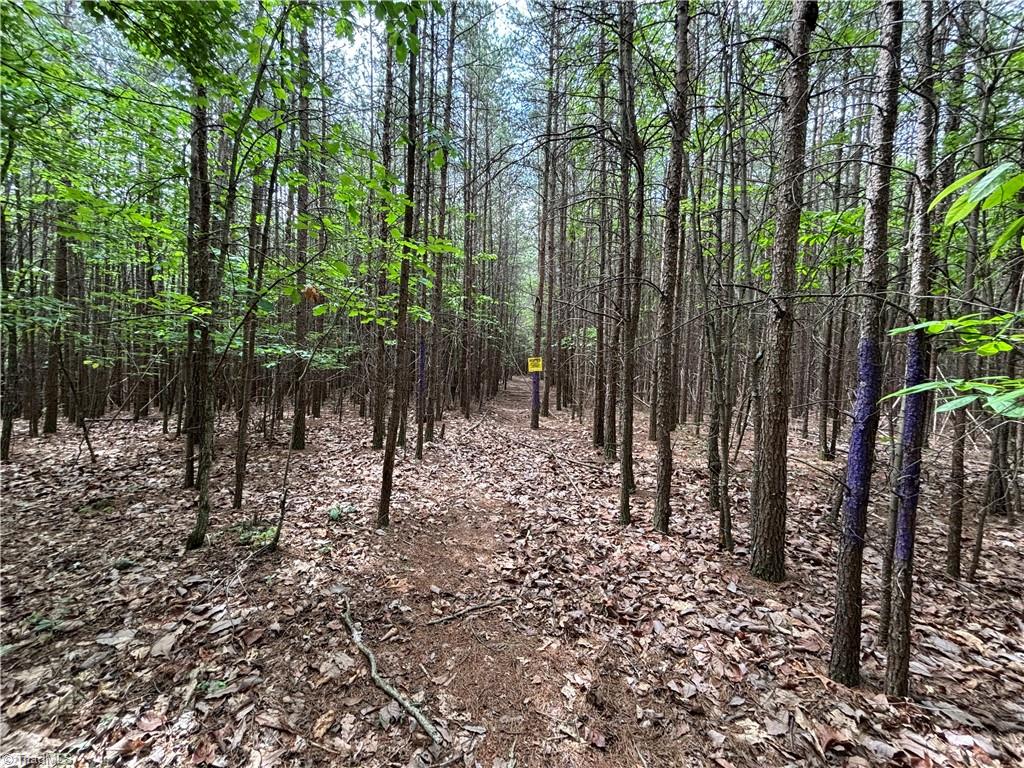 00 Caudle Road, Pinnacle, North Carolina image 19
