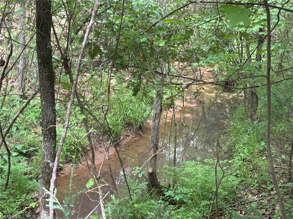 00 Caudle Road, Pinnacle, North Carolina image 31