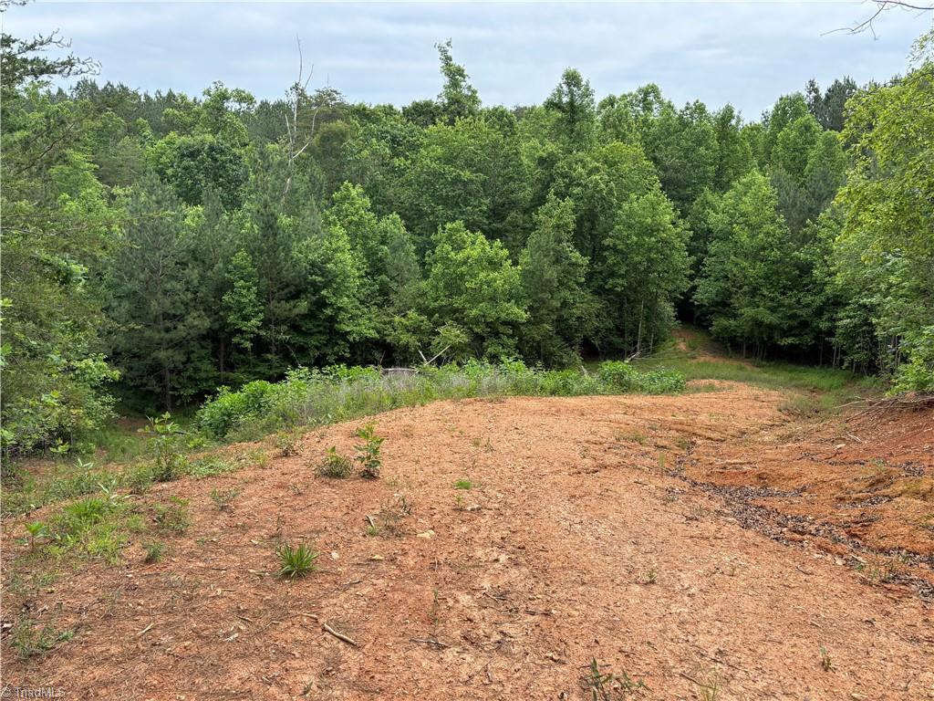 00 Caudle Road, Pinnacle, North Carolina image 9