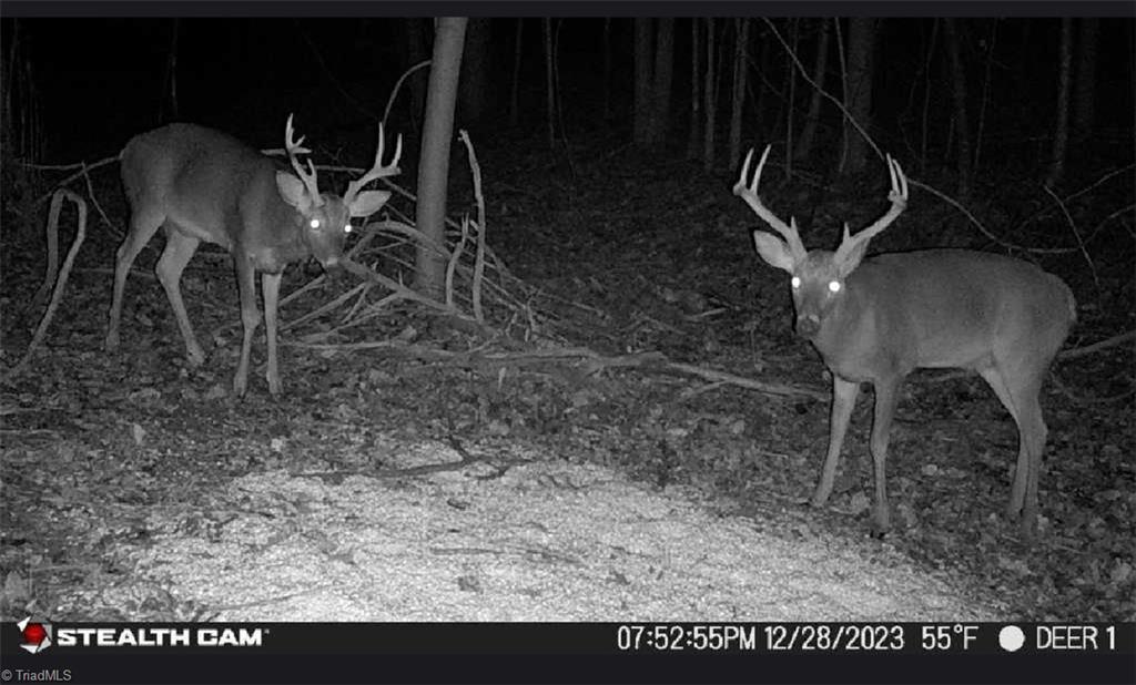 00 Caudle Road, Pinnacle, North Carolina image 40