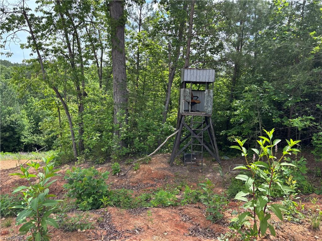 00 Caudle Road, Pinnacle, North Carolina image 33