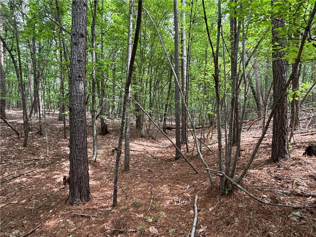 00 Caudle Road, Pinnacle, North Carolina image 37
