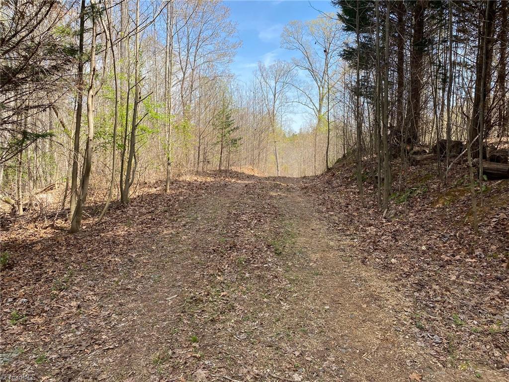 Photo 8 of 8 of 0 Carillon Drive land