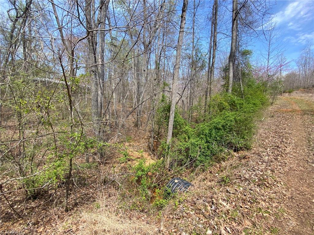 Photo 4 of 8 of 0 Carillon Drive land