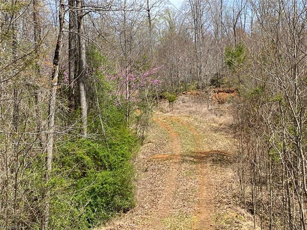 Photo 5 of 8 of 0 Carillon Drive land