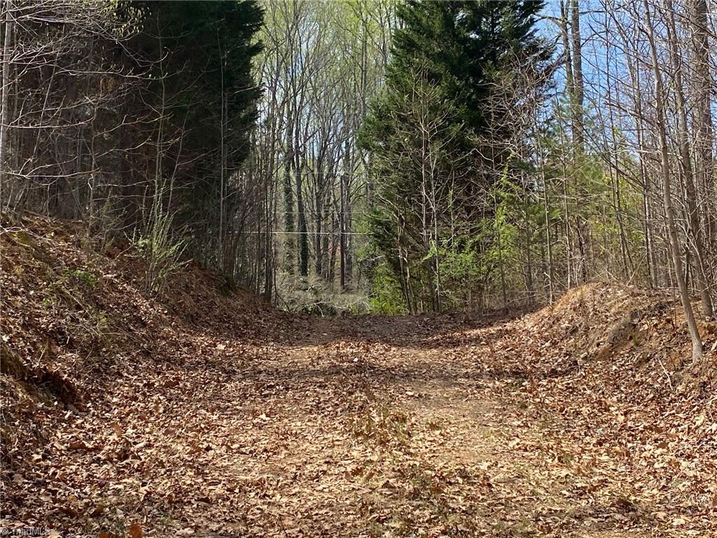 Photo 6 of 8 of 0 Carillon Drive land
