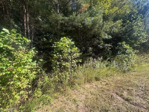 Vacant Land For Sale - 00 Parsonsville Road<br/> Purlear, NC 28665