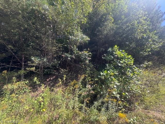 00 Parsonsville Road