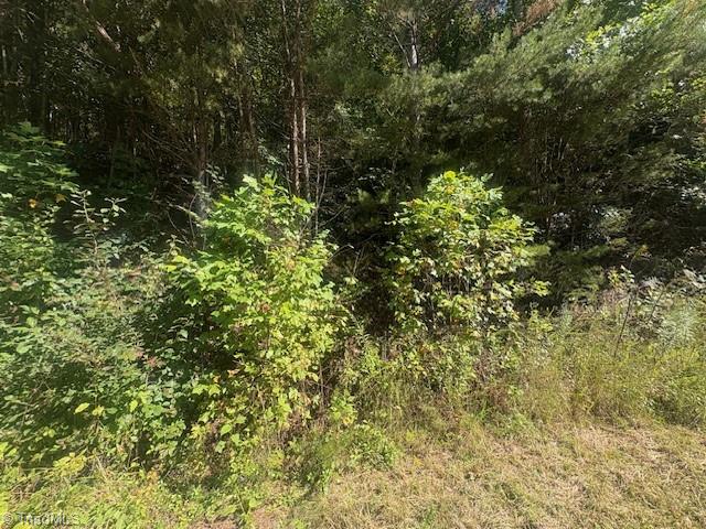 00 Parsonsville Road