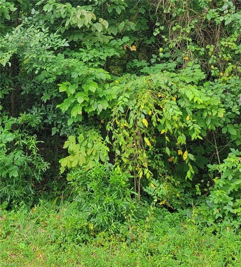 Vacant Land For Sale - Ambridge Drive<br/> Kernersville, NC 27284