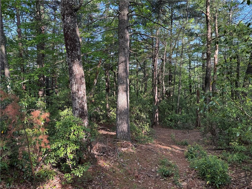 Lot 27 Wolf Pen Road, Purlear, North Carolina image 2