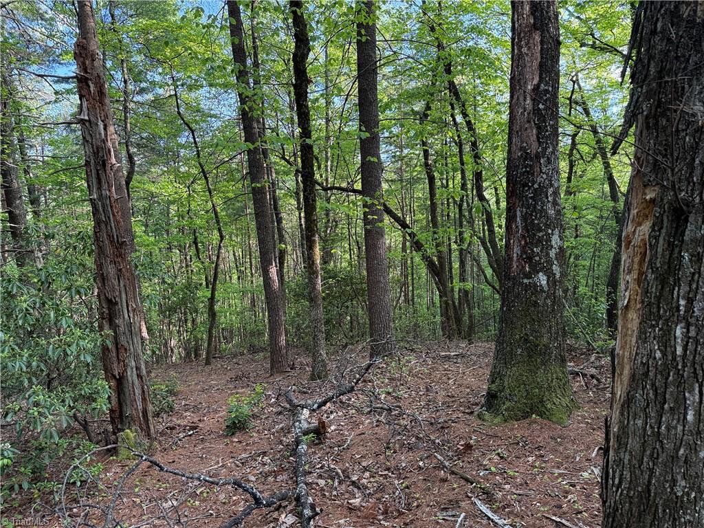 Lot 27 Wolf Pen Road, Purlear, North Carolina image 16
