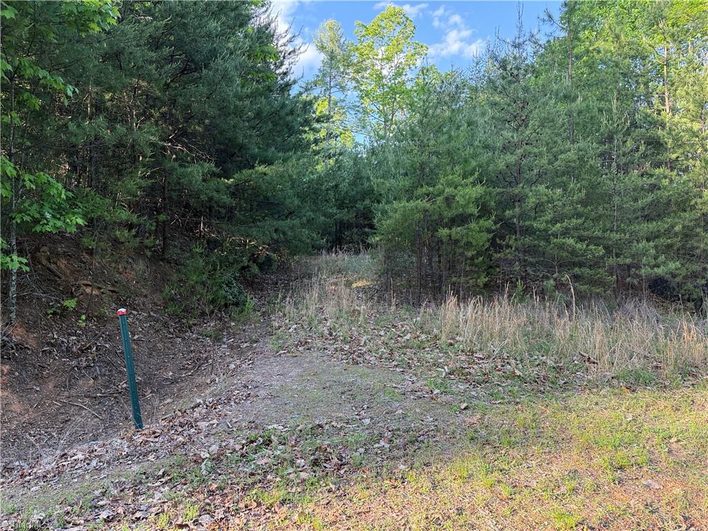 Lot 27 Wolf Pen Road, Purlear, North Carolina image 3