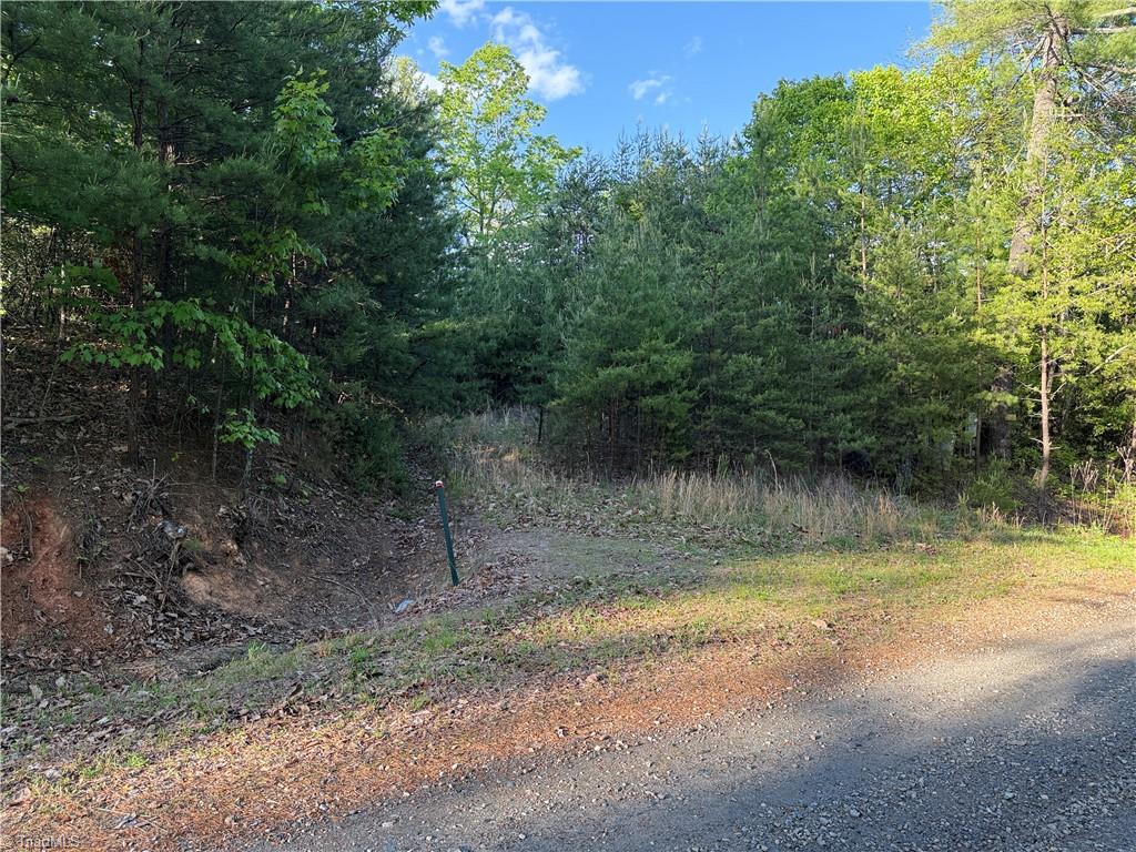 Lot 27 Wolf Pen Road, Purlear, North Carolina image 21