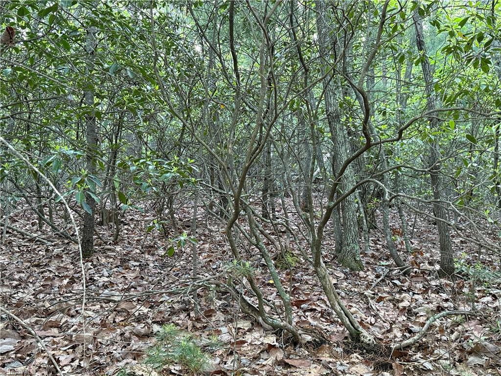 Lot 27 Wolf Pen Road, Purlear, North Carolina image 12