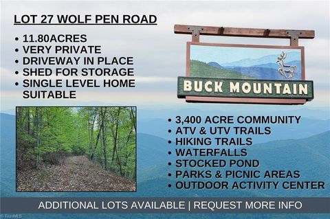 Vacant Land For Sale - LOT 27 Wolf Pen Road<br/> Purlear, NC 28665