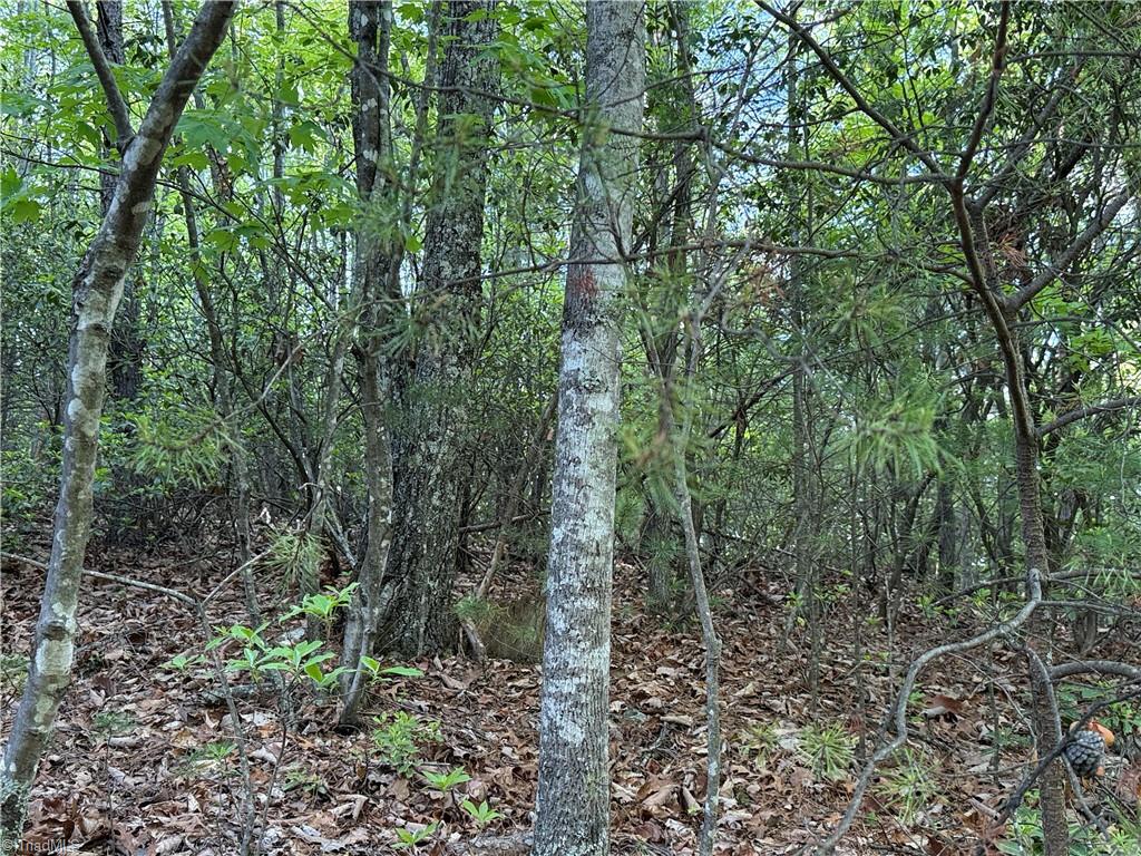 Lot 27 Wolf Pen Road, Purlear, North Carolina image 8