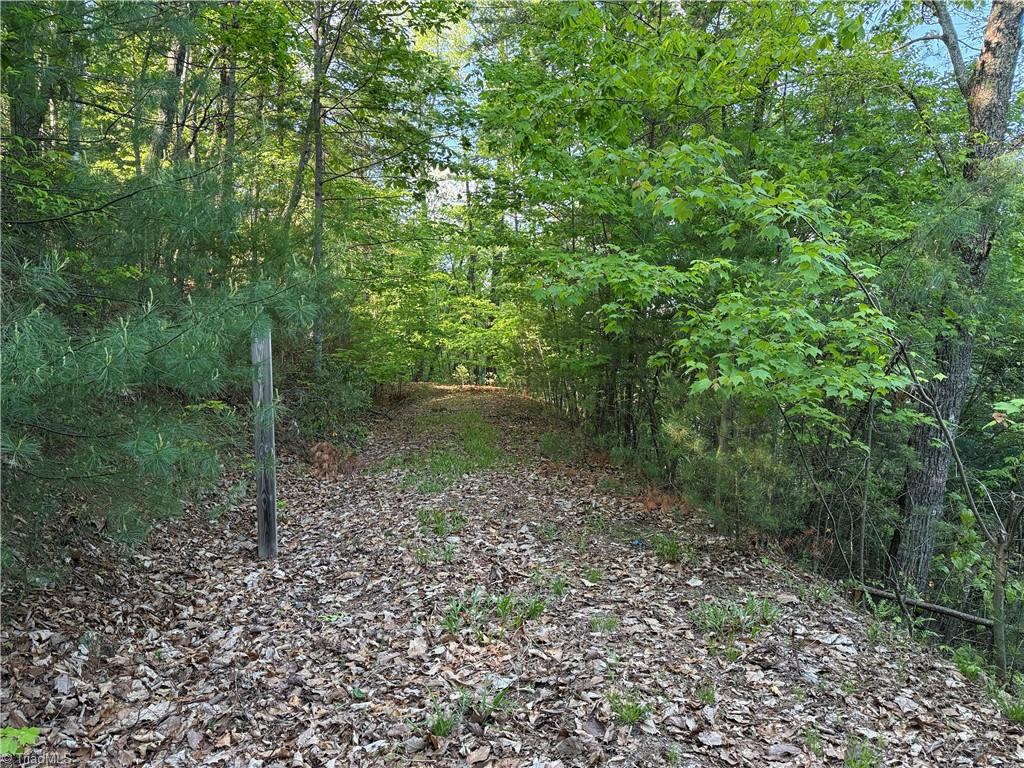 Lot 27 Wolf Pen Road, Purlear, North Carolina image 4