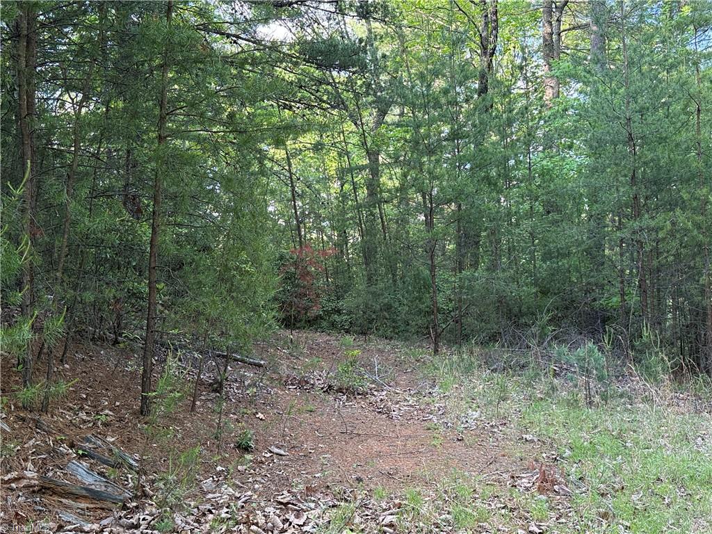 Lot 27 Wolf Pen Road, Purlear, North Carolina image 9