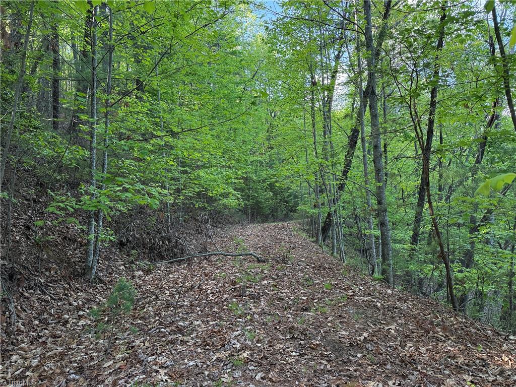 Lot 27 Wolf Pen Road, Purlear, North Carolina image 6