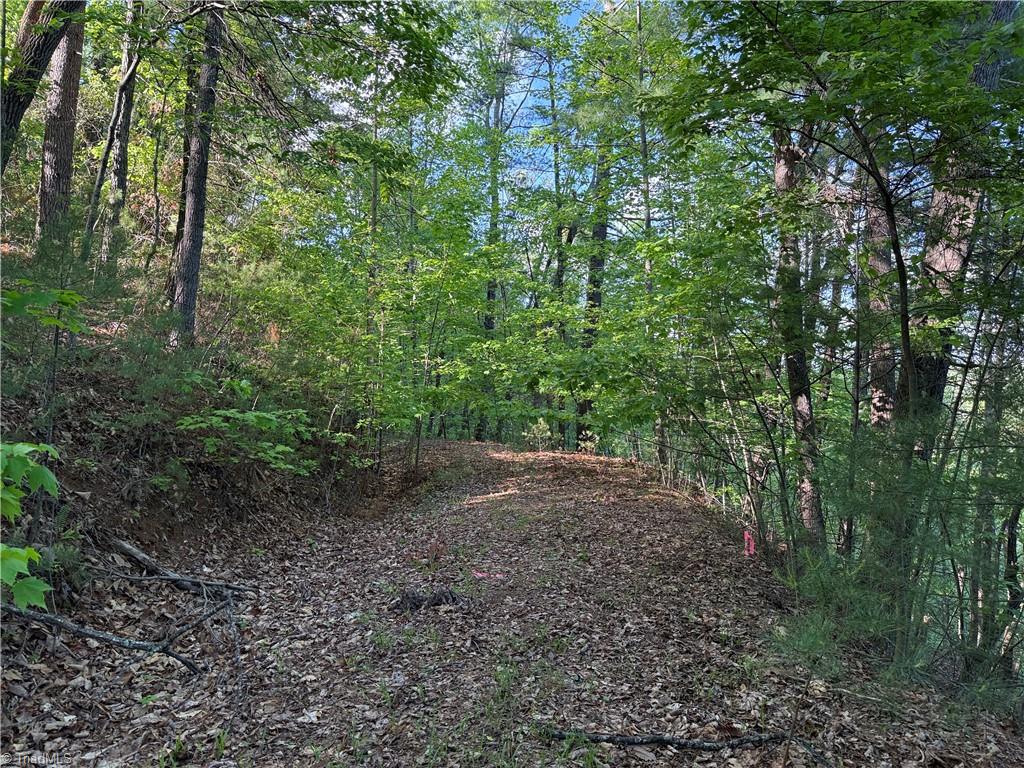Lot 27 Wolf Pen Road, Purlear, North Carolina image 5