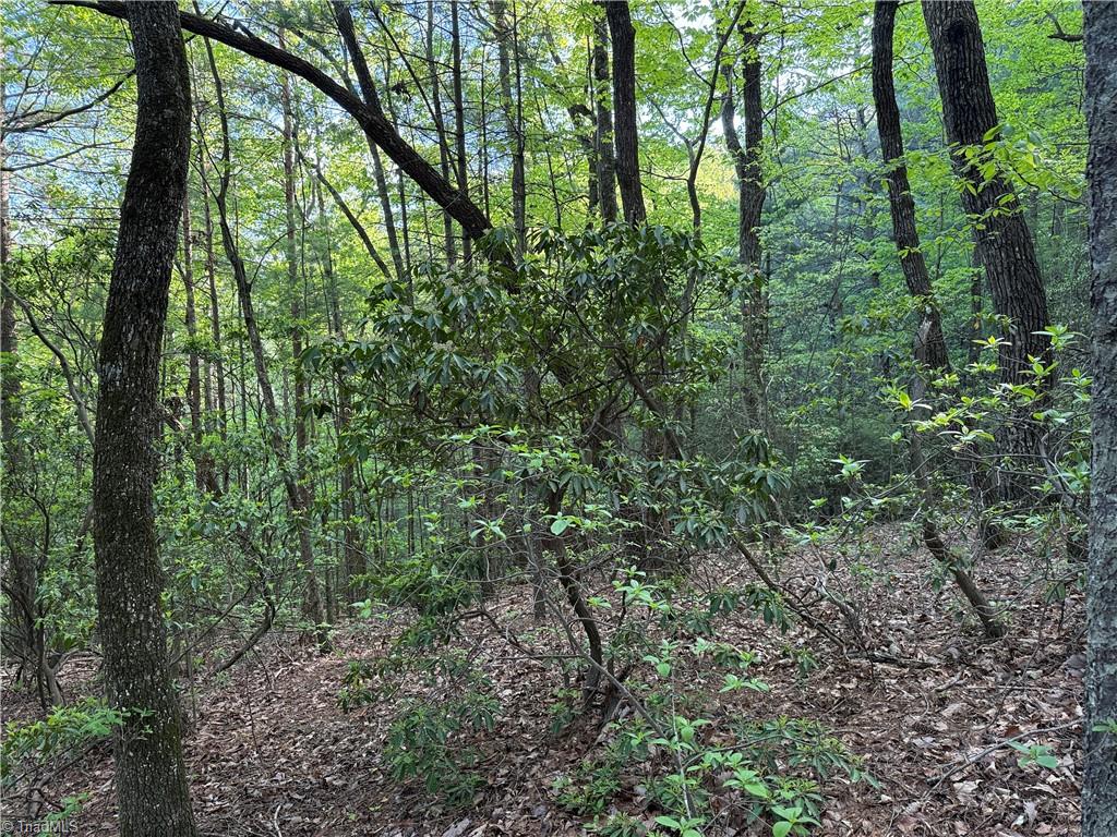 Lot 27 Wolf Pen Road, Purlear, North Carolina image 19