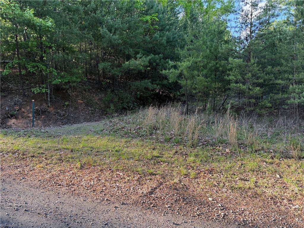 Lot 27 Wolf Pen Road, Purlear, North Carolina image 20