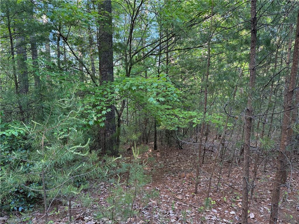 Lot 27 Wolf Pen Road, Purlear, North Carolina image 14