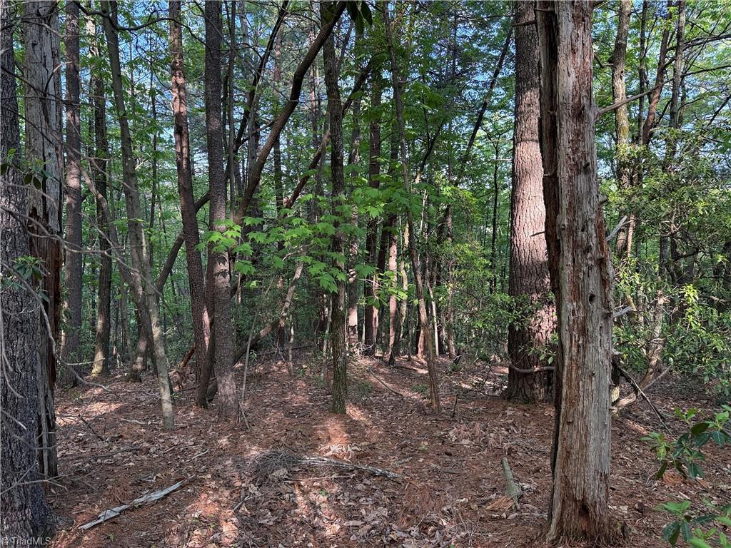 Lot 27 Wolf Pen Road, Purlear, North Carolina image 17