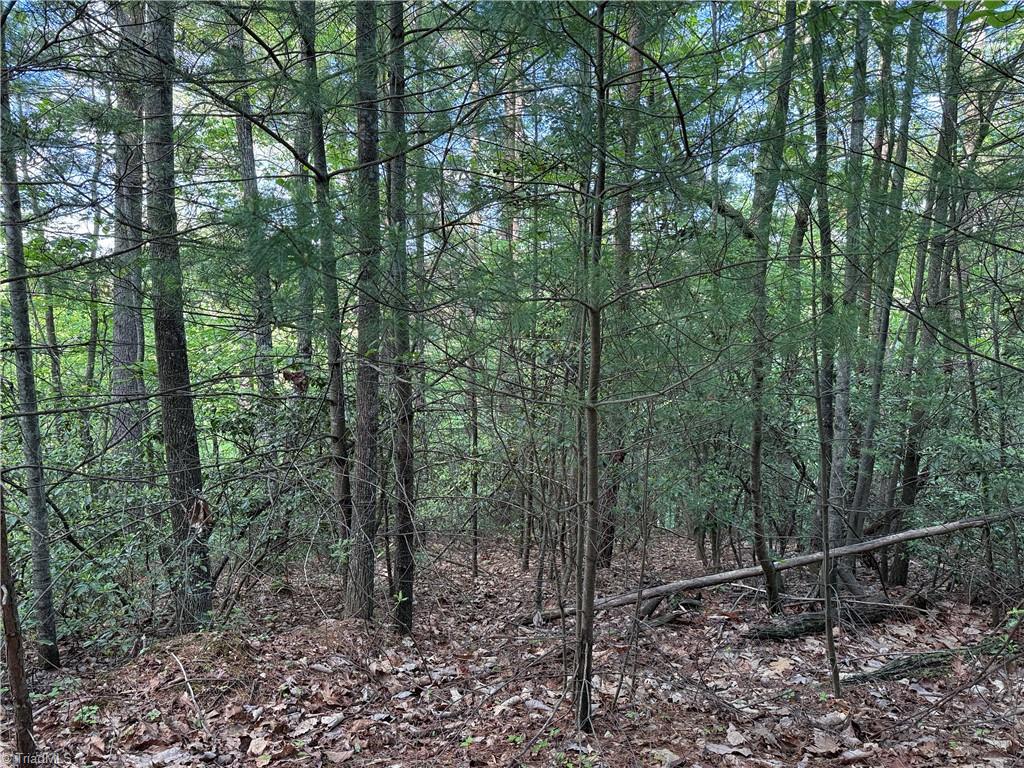 Lot 27 Wolf Pen Road, Purlear, North Carolina image 13