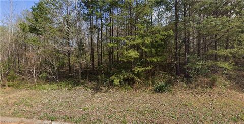 7411 Birchbend Lane Lot 5 Lewisville NC 27023