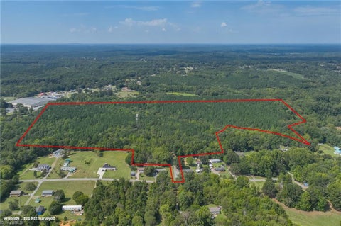 Vacant Land For Sale - 1960 Wilson Road<br/> Linwood, NC 27299