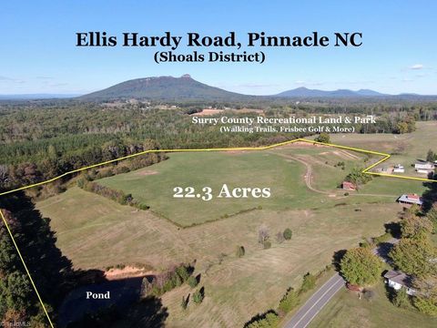 481 Ellis Hardy Road 22.3 Ac Pinnacle NC 2704